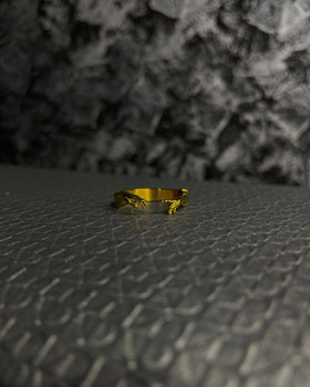 The Adam Ring (Gold Edition)