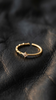 Nuvel Dualé — Gold Edition