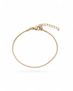 Sleek Snake Bracelet