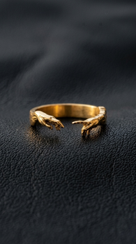 The Adam Ring (Gold Edition)
