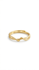 Gantry Ring (Gold Edition)