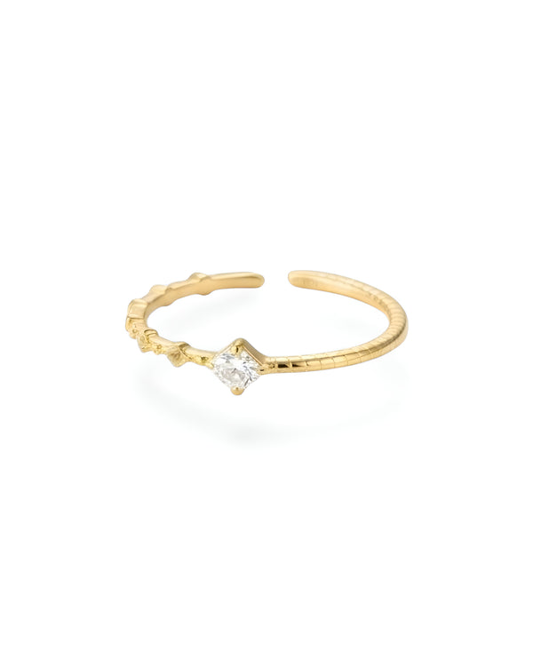 Nuvel Dualé — Gold Edition